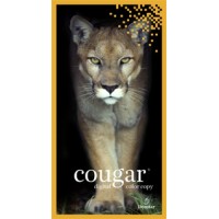 A-2 70# Natural Cougar Opaque Smooth Text